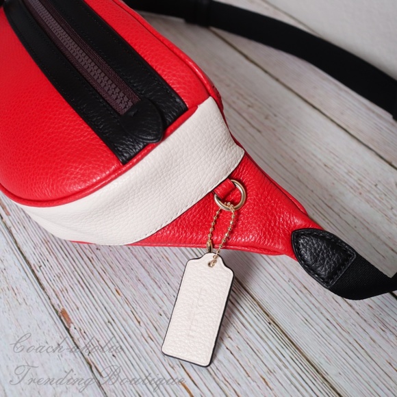 NWT Coach Vale Leather Belt Bag in Colorblock - Picture 5 of 8